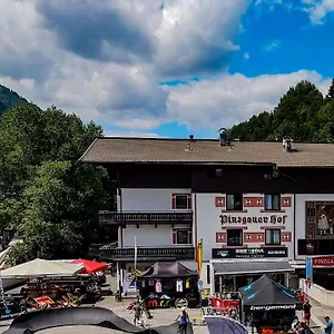 Pinzgauerhof - Inclusive Evening Dinner Отель